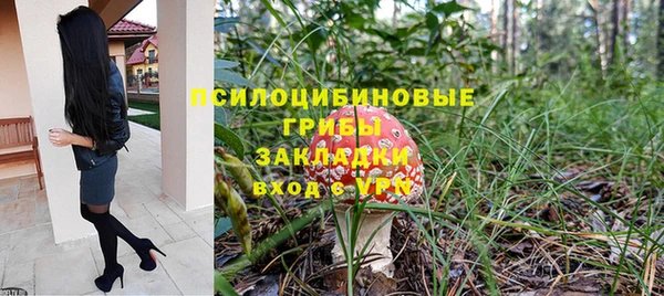 ешки Алексин