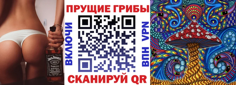 Галлюциногенные грибы Magic Shrooms  как найти   Берёзовка 
