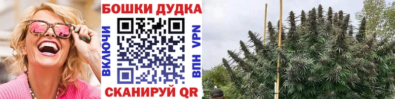 Бошки марихуана гибрид  цены наркотик  Берёзовка 